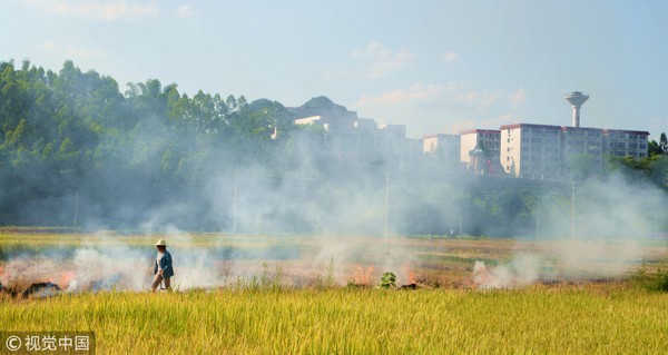 ▲▼廣西來賓市部分鄉鎮一些農戶習慣將稻草和秸稈隨意在田間進行焚燒，滾滾濃煙使天空變得灰濛濛一片。（圖／CFP）