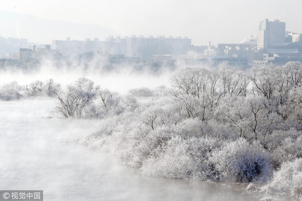 ▲南韓首爾近郊的春川出現霧淞現象。（圖／CFP）