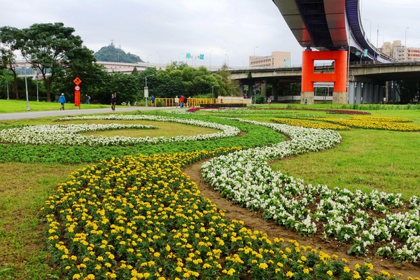 ▲福和河濱花海。（圖／臺北市政府工務局水利工程處提供）