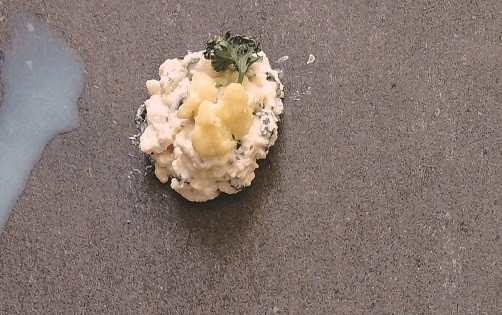 ▲《減糖奇蹟》。(圖/橙實文化提供)