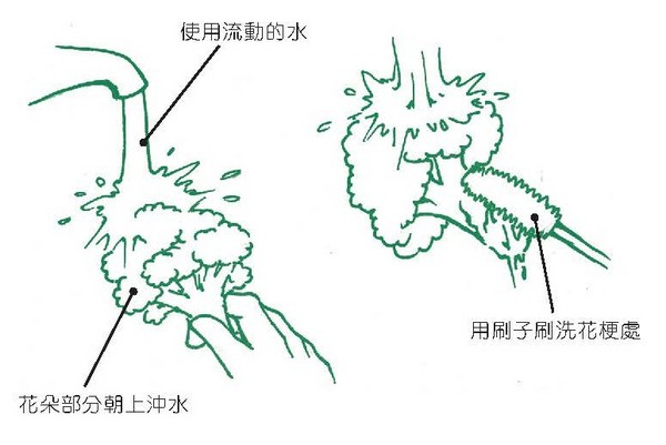 图解正确洗菜!花椰菜清洗难度超高 3步骤摆脱农药残留