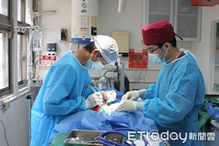 24小時電話都通!新北市首創救援中心 8處動物之家接手(圖/新北市動保處提供)