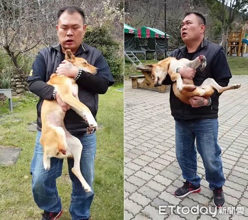 ▲▼徐園長忍坐骨神經痛開15小時車 為救援中陷阱斷腿浪浪。(圖/徐文良(徐園長護生園)提供)