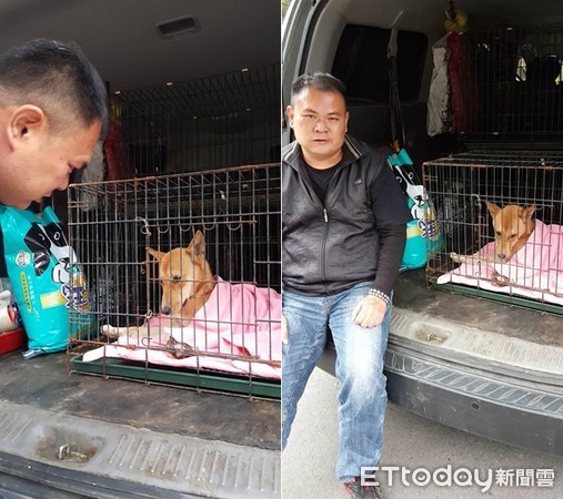 ▲▼徐園長忍坐骨神經痛開15小時車 為救援中陷阱斷腿浪浪。(圖/徐文良(徐園長護生園)提供)