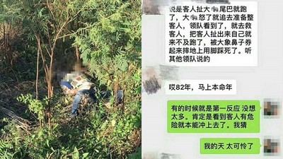 太無知！陸客手賤「猛扯大象尾巴」　領隊救人反被踩破頭顱