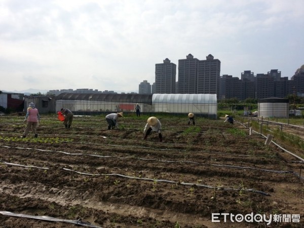 ▲樹林有機農夫市集成立。（圖／農委會提供）