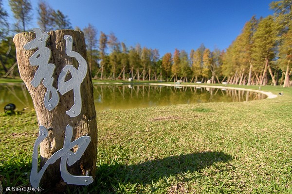 ▲新竹關西大樂之野景觀餐廳賞落羽松。（圖／滿分的旅遊札記提供）