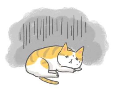 毛孩肚肚不舒服~ 暫時禁食避免食物刺激腸胃(圖/毛起來 MaoUp)