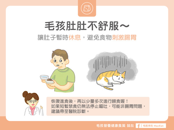 毛孩肚肚不舒服~ 暫時禁食避免食物刺激腸胃(圖/毛起來 MaoUp)