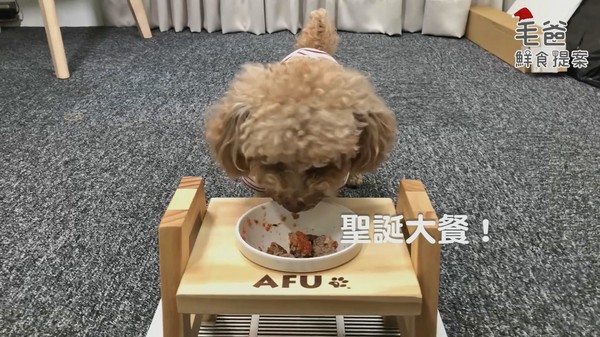 【毛爸鮮食提案】聖誕老公公的秘密配方~經典紅醬肉丸(圖/毛起來 MaoUp)