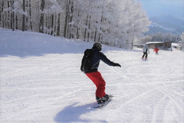 ▲輕井澤滑雪。（圖／攝影者：Yoichiro Uno, Flickr CC License）