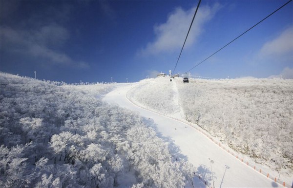 ▲南韓滑雪勝地推薦。（圖／Beauty美人誌提供）