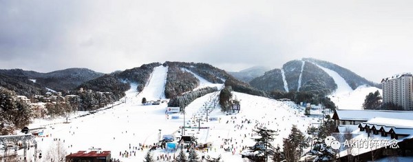 ▲南韓滑雪。（圖／Beauty美人誌提供）