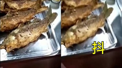 香煎鯽魚「熟透後用肚子呼吸」　廚師嚇甩鍋鏟：變殭屍復仇？