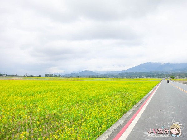 ▲伯朗大道油菜花海。（圖／Travel with V 小V旅行提供）