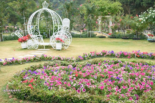 ▲雲林古坑蘿莎玫瑰莊園。（圖／滿分的旅遊札記提供）