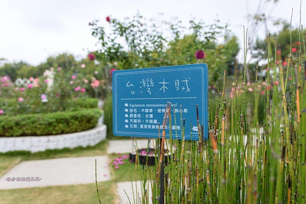 ▲雲林古坑蘿莎玫瑰莊園。（圖／滿分的旅遊札記提供）