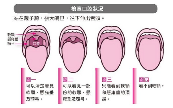 ▲《睡睡平安》書摘圖。(圖/世茂出版提供)