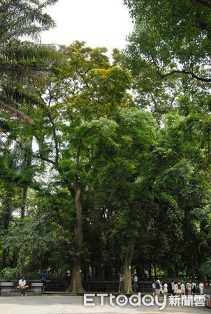 ▲臺北植物園是我們的博物館。（圖／農委會提供）