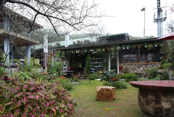 「古迷思咖啡屋」位在望鄉部落活動中心旁。