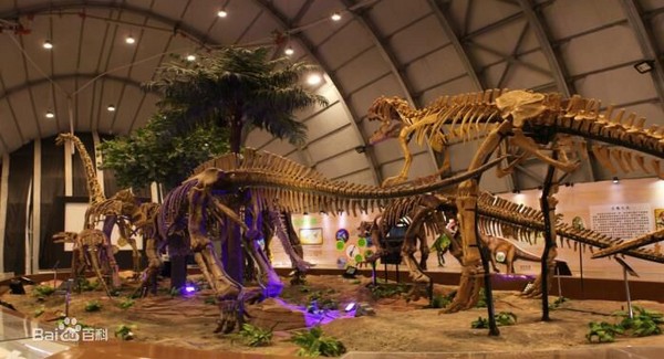 ▲▼遼寧博物館舉辦恐龍展             。（圖／翻攝自百度百科）