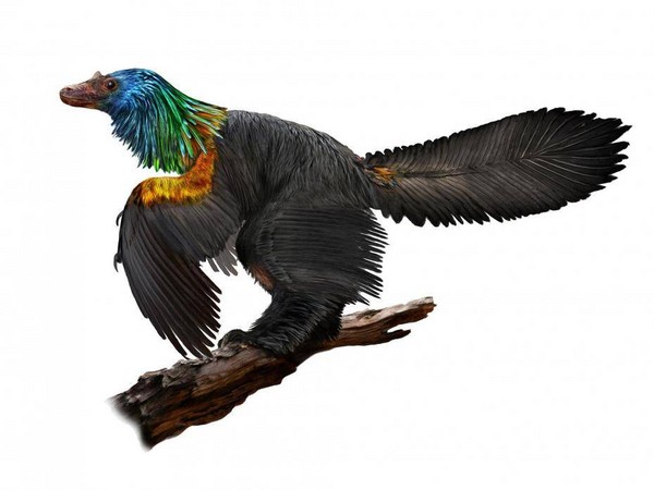 ▲插畫筆下的的新發現恐龍：「彩虹巨嵴」。（圖／翻攝自《獨立報》)
