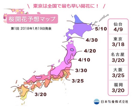 2018「日本樱花前线预测」揭晓 全日本最早开