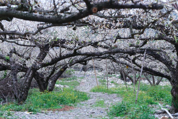 ▲台中云饌休閒庭園。（圖／攝影師《好心情趴趴照》授權提供，請勿隨意翻拍，以免侵權。）