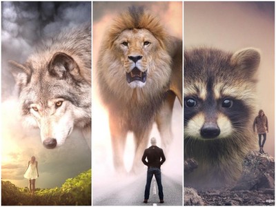 攝影師把動物全部巨大化！告訴人類不要把自己想的太偉大