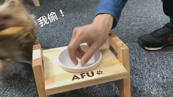 【毛爸鮮食提案】新的一年營養開心滿點~元氣豬豬早餐腸!(圖/毛起來 MaoUp)