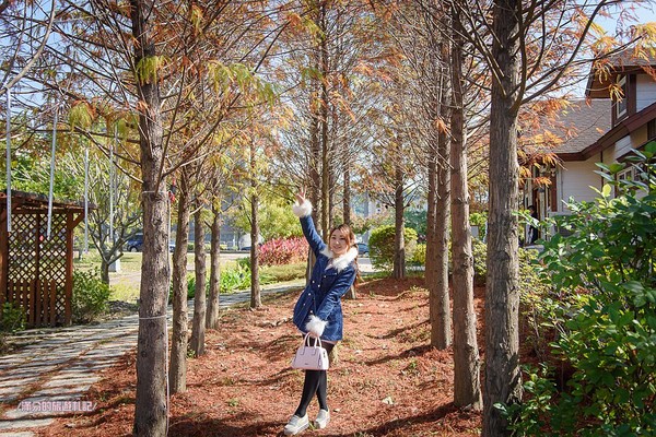 ▲台中蝴蝶橋法式餐廳落羽松莊園。（圖／滿分的旅遊札記提供）