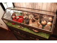 （圖／記者周之鼎攝）