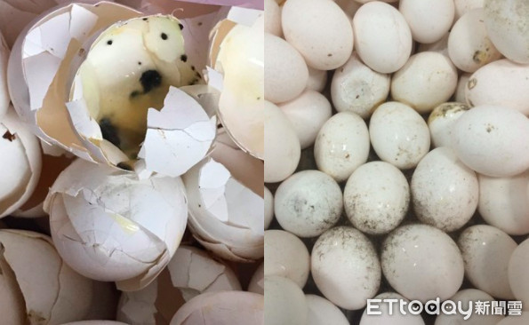 ▲▼萇記泰安販售黑心案。(圖/記者張曼蘋翻攝)