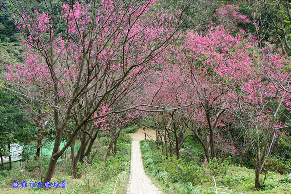 ▲新北土城太極嶺。（圖／蘇菲的玩樂地圖提供）