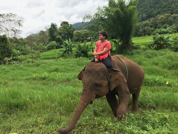 ▲部落客「只想旅行 不想上班」帶領大家到泰國清邁Ran-tong大象保護營一探究竟。（圖／只想旅行 不想上班提供，請勿任意翻攝以免侵權）