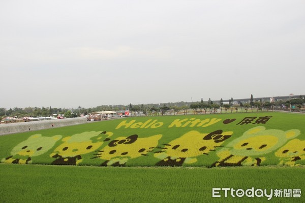 ▲屏東熱帶農業博覽會,Hello Kitty彩繪稻田。（圖／屏東縣政府提供。）
