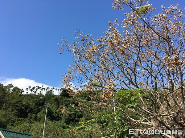 ▲花蓮玉里鄉。（圖／記者張舒芸攝）