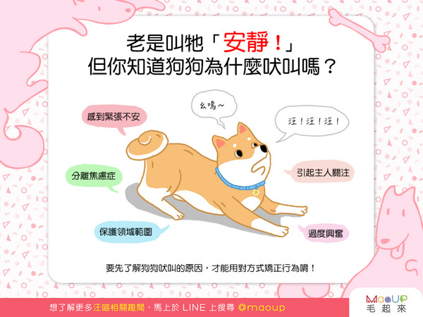 「汪汪汪汪汪!」你知道狗狗為什麼吠叫嗎?(圖/毛起來 MaoUp)