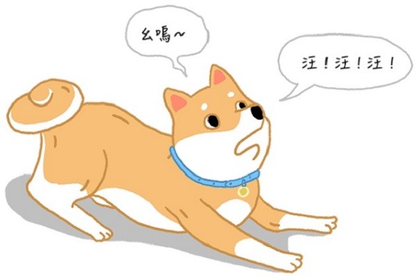 「汪汪汪汪汪!」你知道狗狗為什麼吠叫嗎?(圖/毛起來 MaoUp)