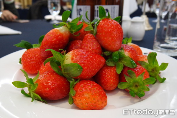 ▲大湖草莓肉質鮮嫩多汁、甜度高，常溫熟成快，建議放置冰箱冷藏。（圖／記者楊筱柔攝）
