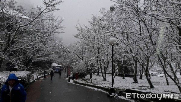 ▲▼力麗馬告生態園區明池森林遊樂區下雪。（圖／力麗觀光提供）