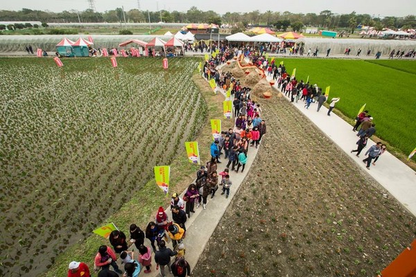 ▲屏東熱帶農業博覽會「3D立體Hello Kitty彩繪稻田」。（圖／屏東縣政府提供）