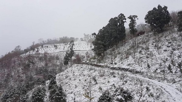 ▲數碼天空下雪。（圖／翻攝自數碼天空粉絲專頁）