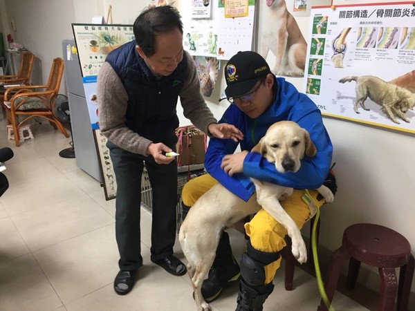 台中市搜救犬「鐵雄」右耳急性發炎。（圖／翻攝林佳龍臉書）