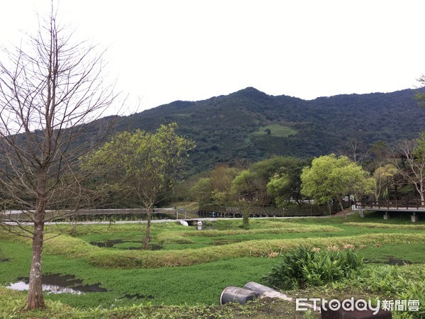 ▲馬太鞍休閒農業區－欣綠農園。（圖／記者張舒芸攝）