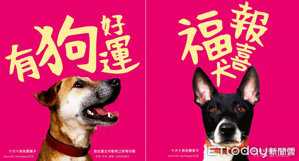 ▲十犬十美賀狗年，動物之家毛孩要您「有狗好運」！（圖／數位廣告公司D2C提供）