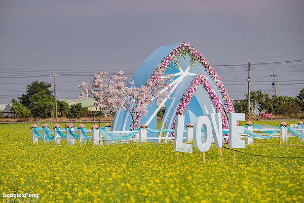 ▲▼嘉義 太保花海節。（圖／道格拉斯.方提供）