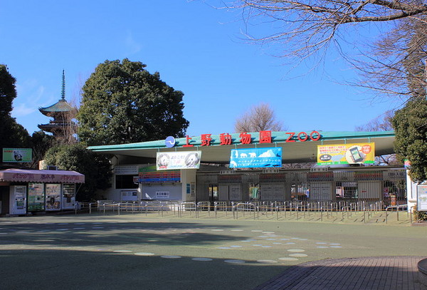 ▲上野動物園。（圖／維基百科）