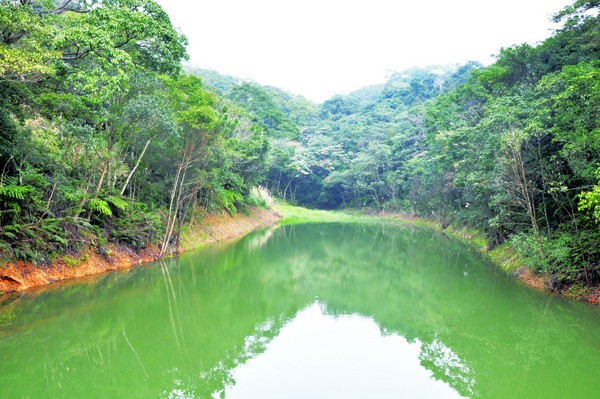 ▲▼台北市內湖區白石湖吊橋、同心池、古錐埤、春秋步道、夫妻樹、竹林秘境觀景台、甜水鴛鴦湖、黃氏古厝、碧山巖開漳聖王廟。（圖／翻攝自台北市政府工務局大地工程處網站）