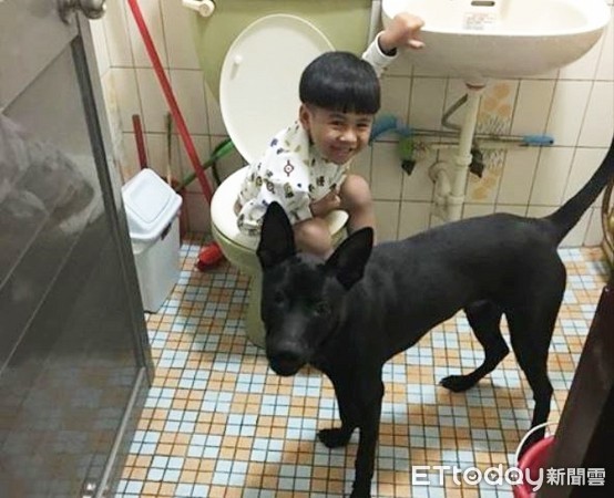 黑狗守廁所保護小主人。（圖／網友戴婷婷提供，請勿隨意翻拍，以免侵權。） 